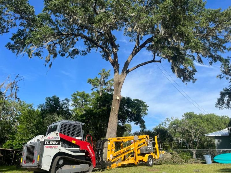 Tree Trimming and Removal
