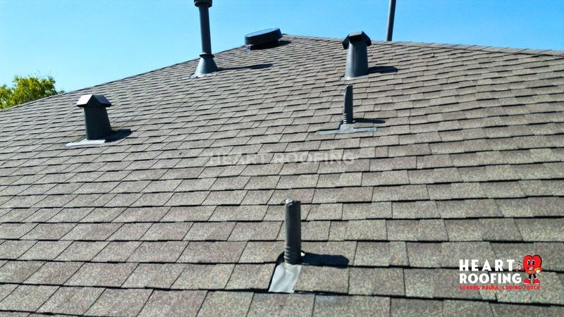 Shingle Roof Replacement