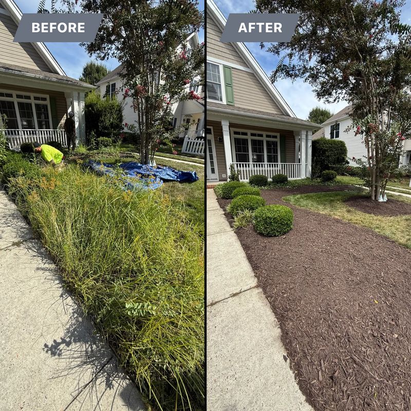 Before & After