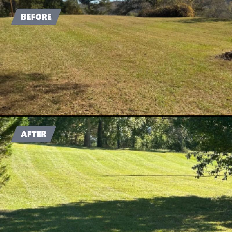 Landscape Design