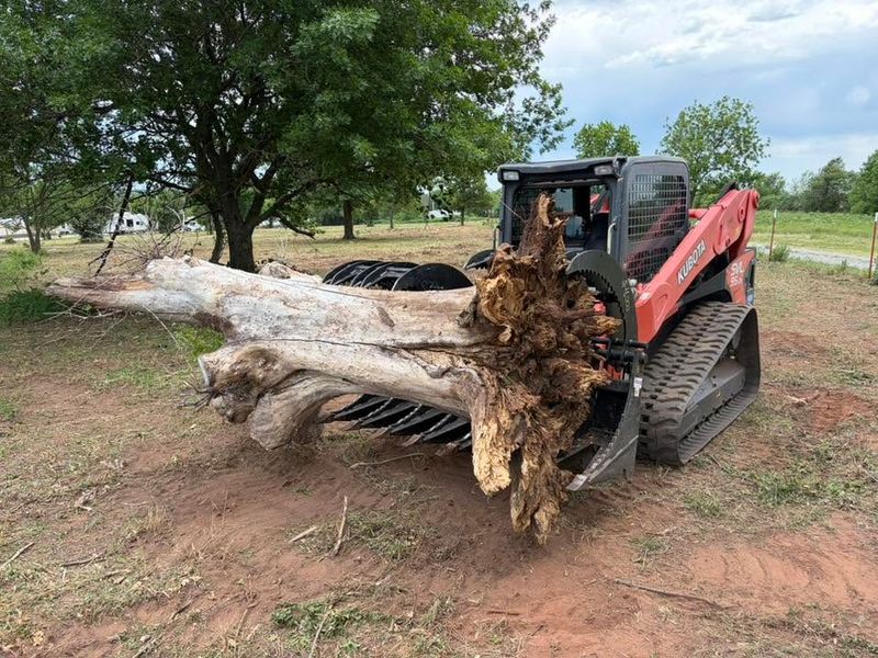 Tree Removal