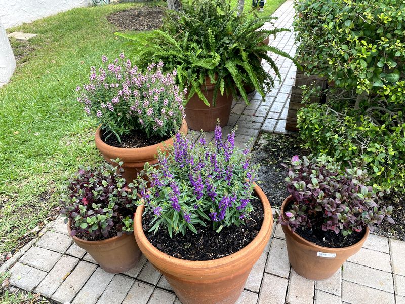 Landscape Services