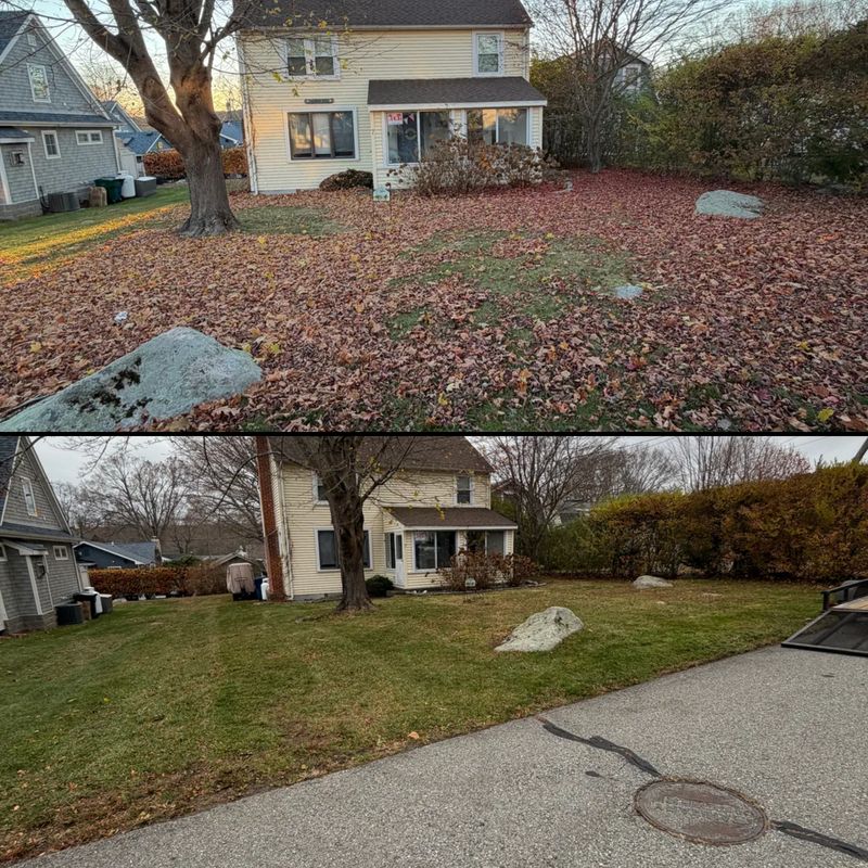 Fall And Spring Clean Up