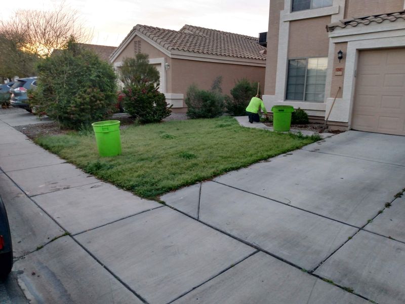Shrub triming