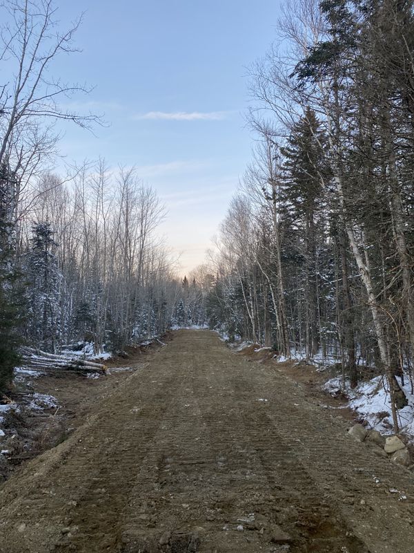 Land Clearing & Forestry Mulching