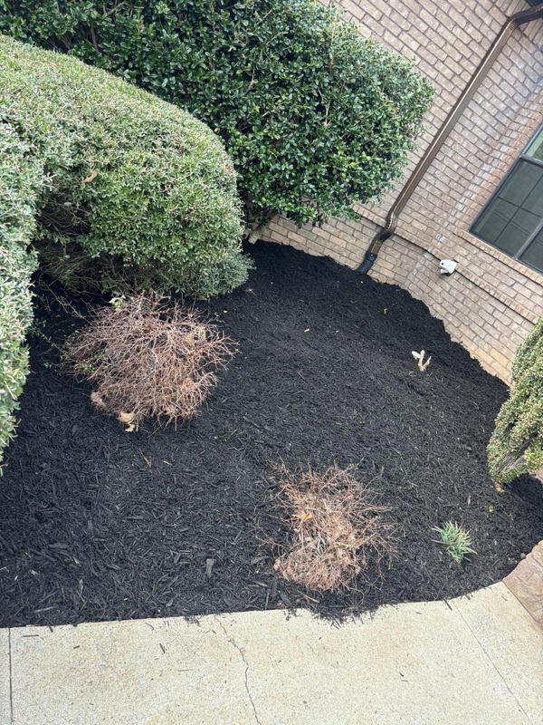 Landscape And Design