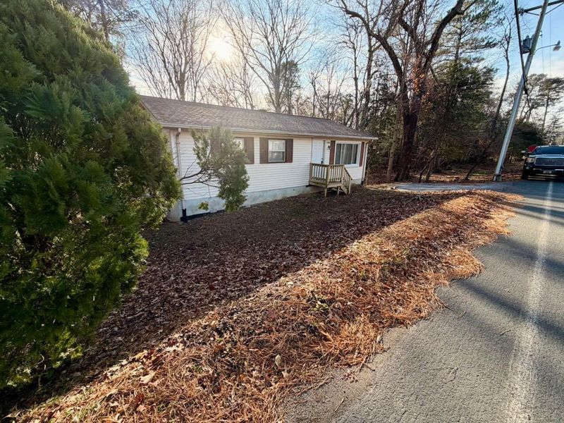 Mulch Installation