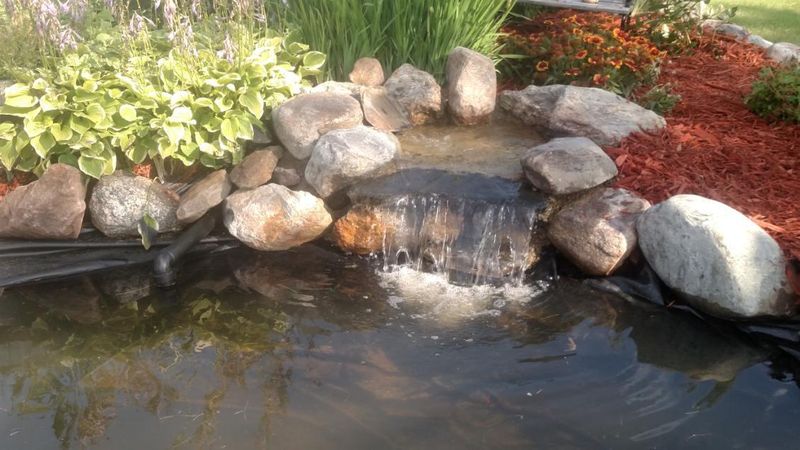 Water Features & Ponds