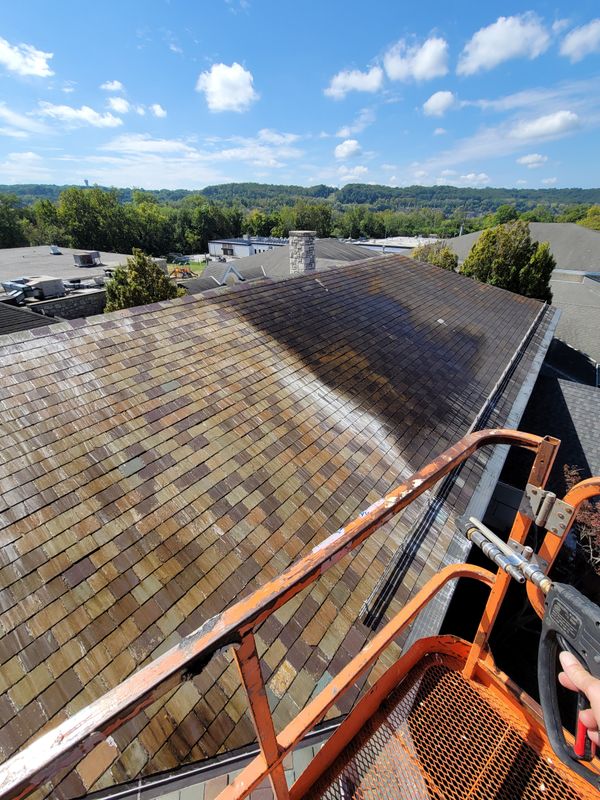 Roof Cleaning