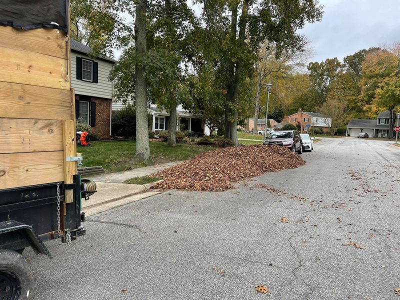 Debris Removal and Cleanup