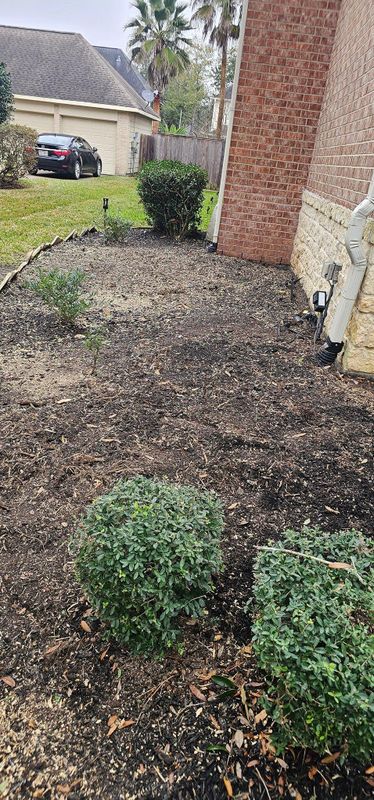 Shrub Trimming