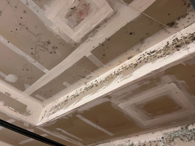 Mold Inspections