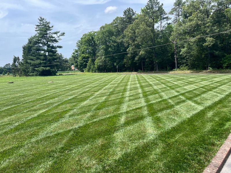 Lawn Care