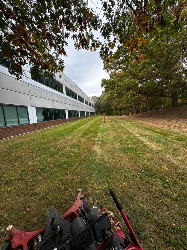 Lawn Care