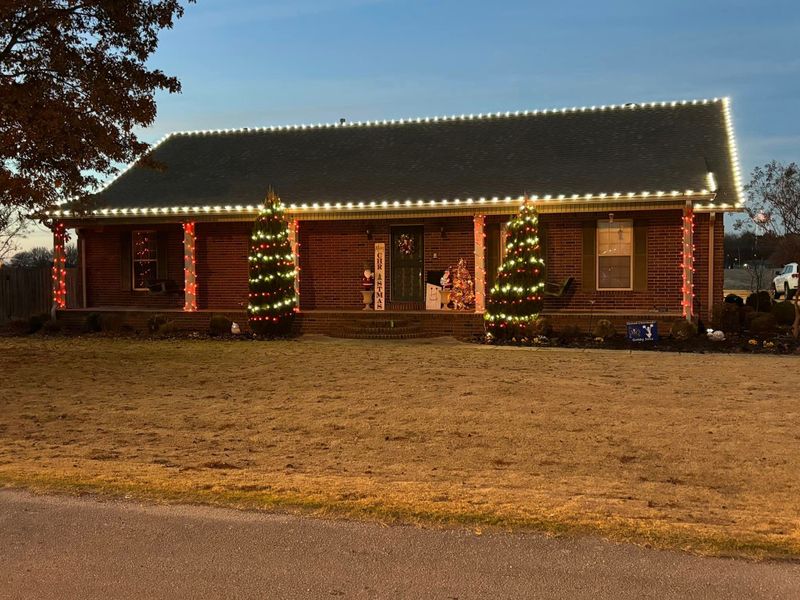 Christmas lights