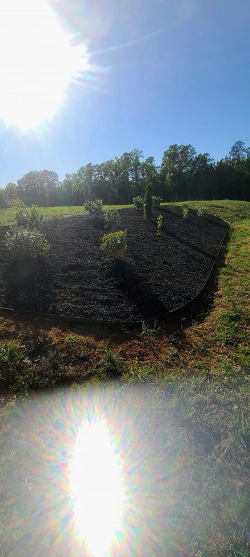 Mulch Installation
