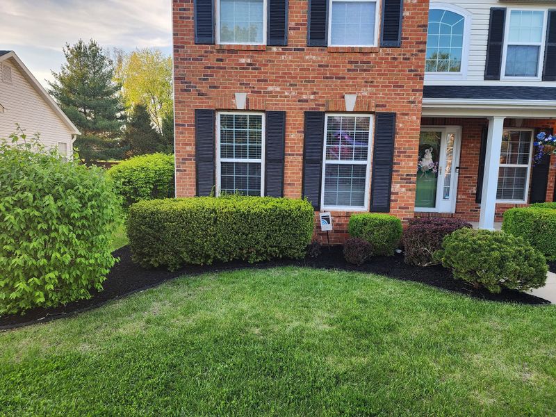 Landscape Design