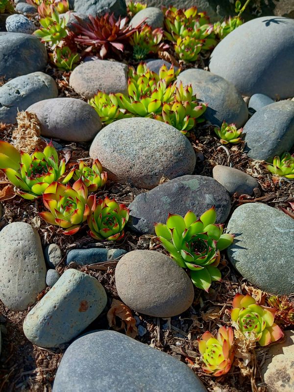 Rockbed Installation