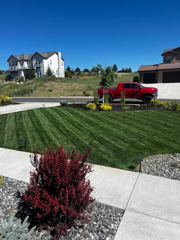 Landscape Design
