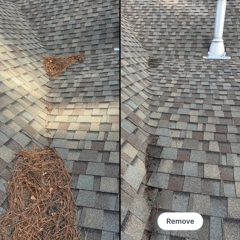 Gutter Cleaning 