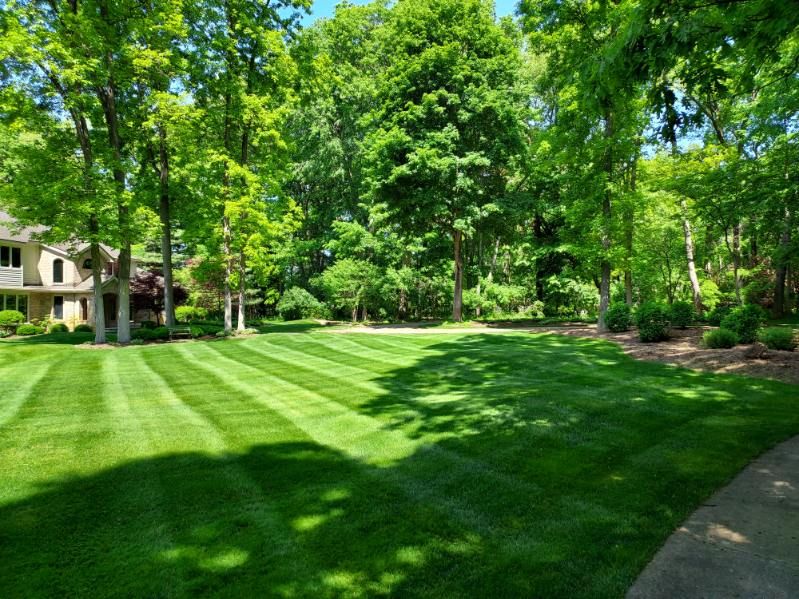 Lawn Mowing