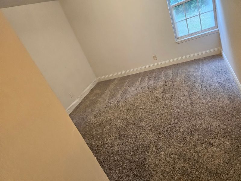 Carpet Cleaning