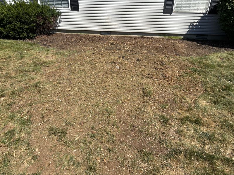 Stump Removal