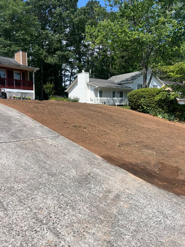 Lawn Maintenance