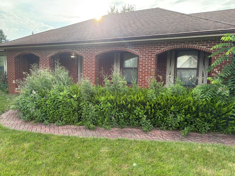 Shrub Trimming