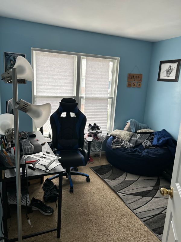 Interior Painting Projects
