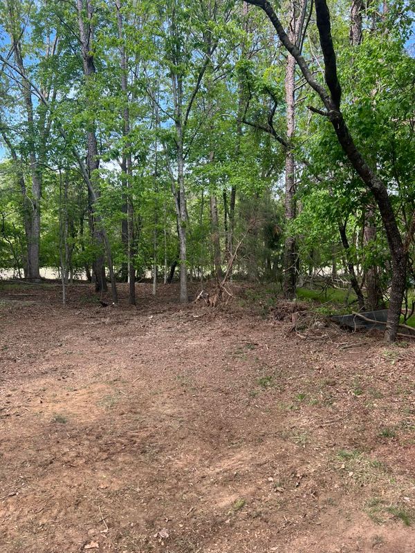 Tree Removal gallery