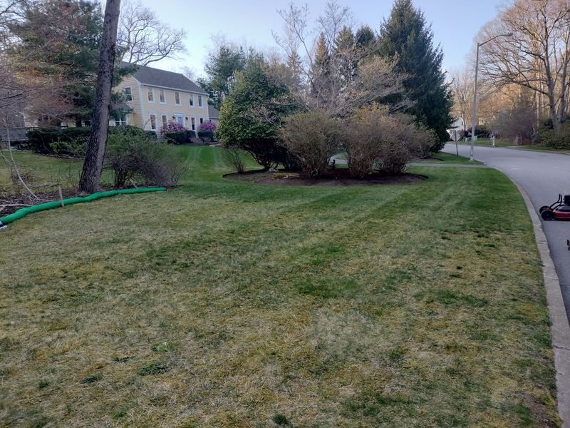 Landscaping gallery