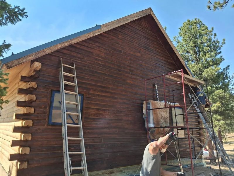 Log Repair and Replacement