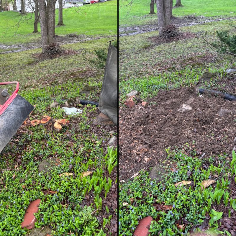 Stump Removal