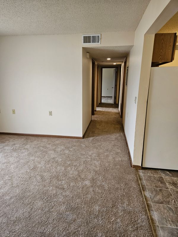 Carpet Cleaning
