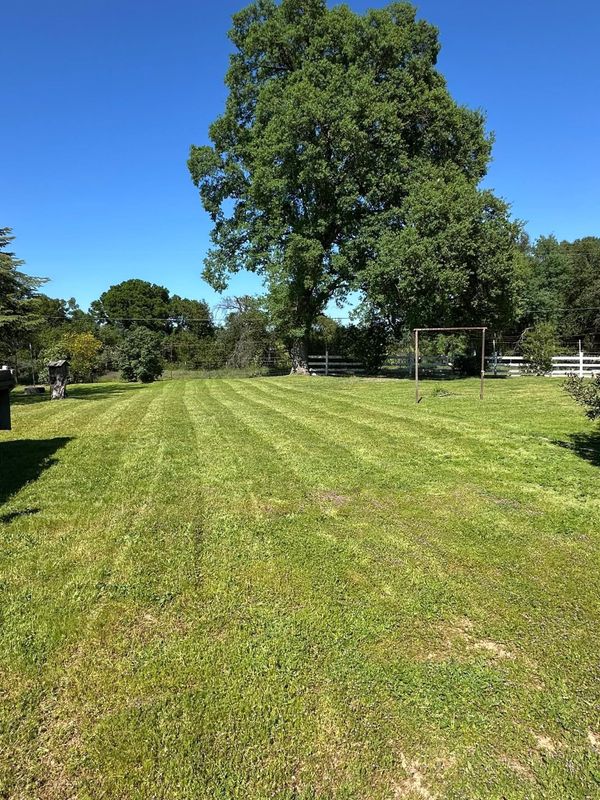 Lawn Maintenance