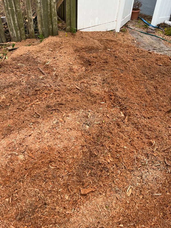Stump Grinding
