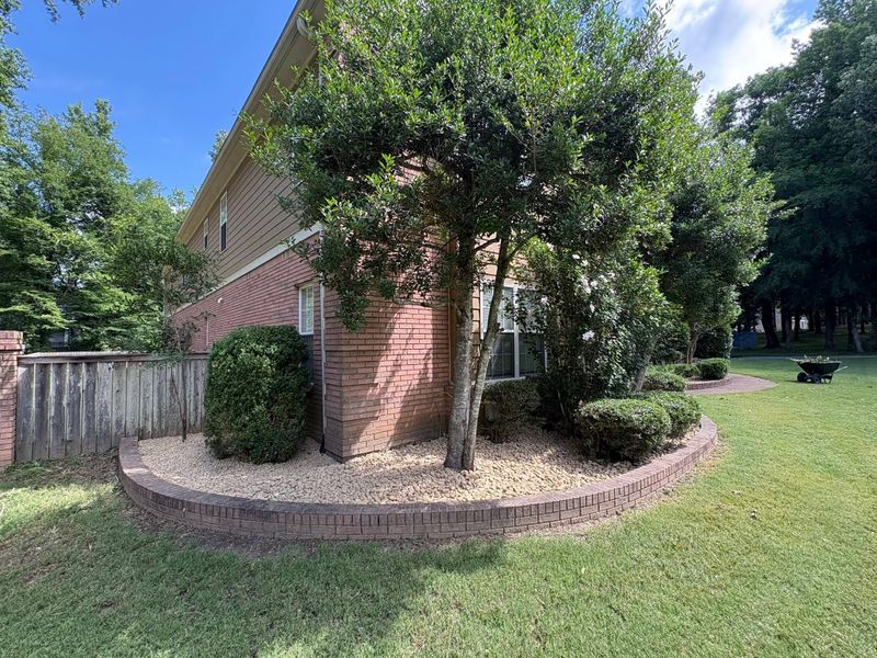 Tree and Shrub Care