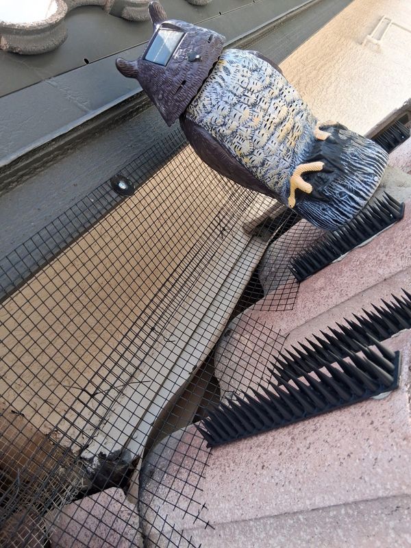 Bird Proofing