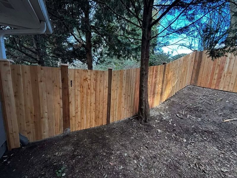 Fences
