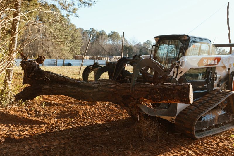 Tree Removal