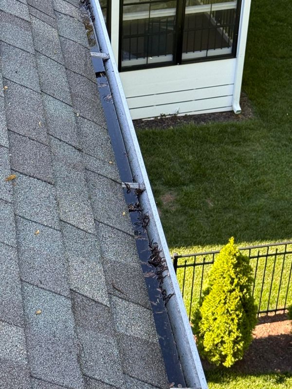 Gutter Cleaning