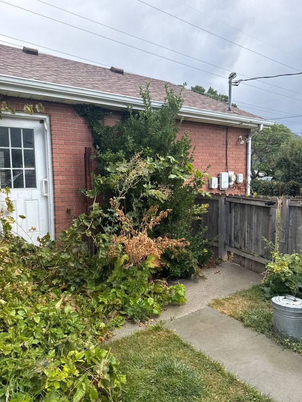 Fall Clean Up
