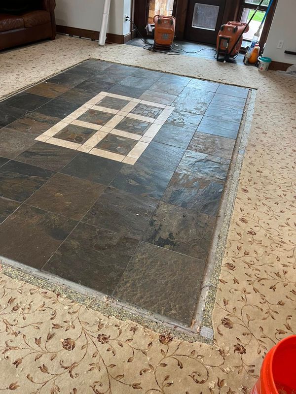 Carpet Installation and Repair