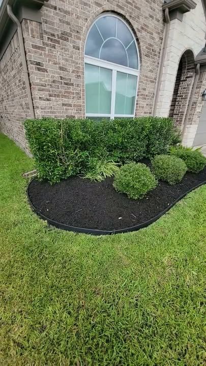 Hedge Trimming