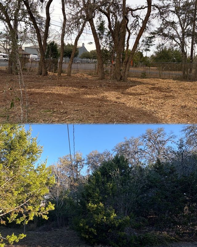 Tree Trimming & Land Clearing