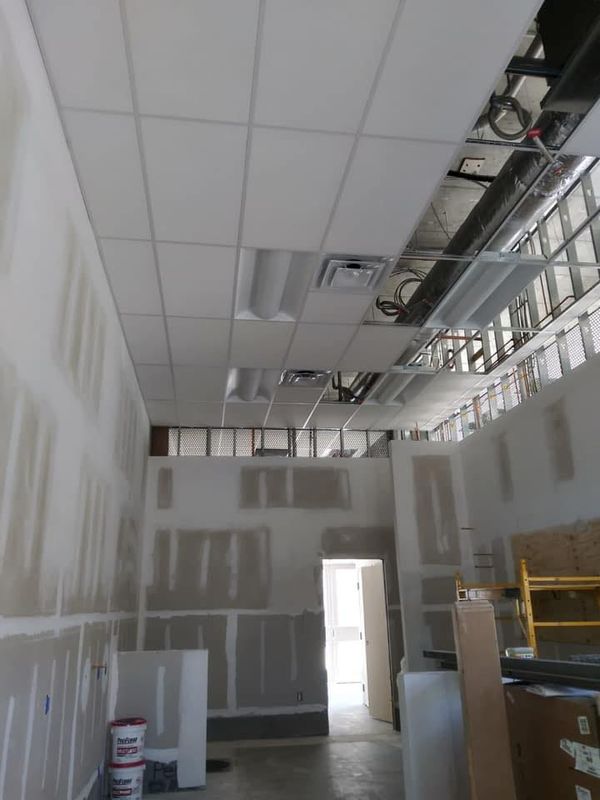 Painting and Drywall