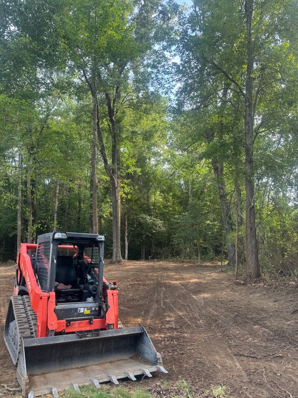 Tree Removal