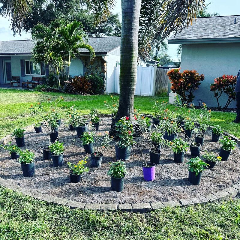 Landscape Maintenance