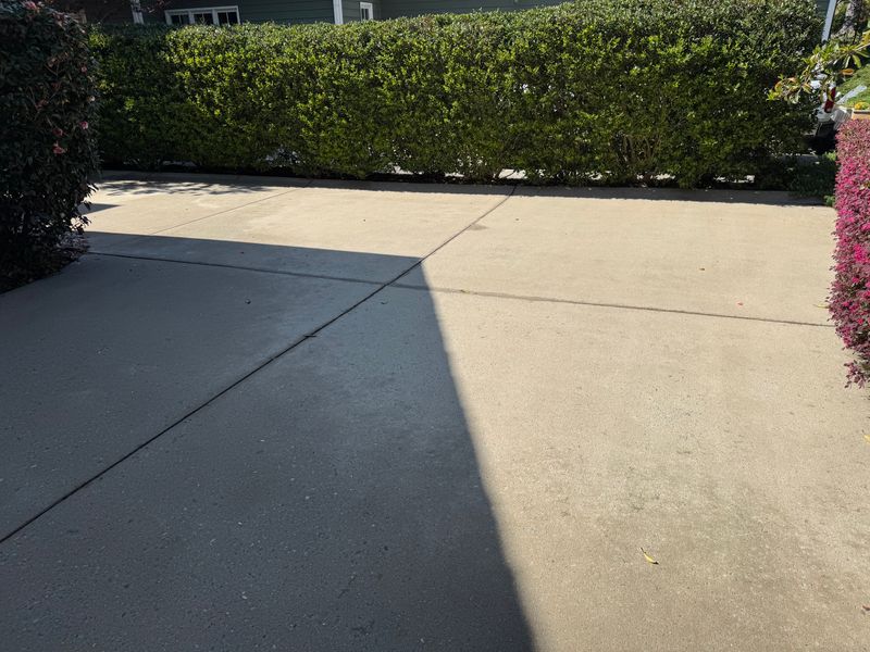 Shrub Trimming